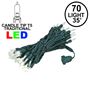 Picture of 70 Light Traditional T5 Warm White LED Mini Lights Green Wire