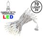 Picture of 70 Light Traditional T5 Warm White LED Mini Lights White Wire
