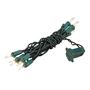 Picture of 10 Light 5.5' Green Wire Christmas Mini Lights