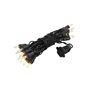 Picture of Clear 20 Light 9' Long Black Wire Christmas Mini Lights