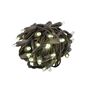 Picture of Coaxial 50 LED Warm White 4" Spacing Brown Wire