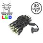 Picture of 50 LED Warm White LED Christmas Lights 11' Long on Black Wire