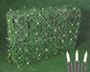 Picture of 4' X 6' Super Bright Clear Net Lights - Brown Wire
