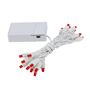 Picture of 20 LED Battery Operated Lights Red White Wire