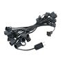 Picture of 25 Twinkling C9 Christmas Light Set - Clear - Black Wire