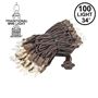 Picture of Clear Christmas Brown Wire Mini Lights 100 Light 34 Feet Long