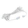 Picture of C7 25 Light String Set with Green Twinkle Bulbs on White Wire