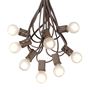 Picture of 25 G30 Globe Light String Set with Frosted White Bulbs on Brown Wire
