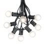 Picture of 25 G30 Globe Light String Set with Frosted White Bulbs on Black Wire