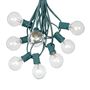 Picture of 25 G40 Globe String Light Set with Clear Bulbs on Green Wire