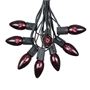 Picture of C9 25 Light String Set with Black Light Very Dark Purple Bulbs on Black Wire