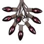 Picture of C9 25 Light String Set with Black Light Very Dark Purple Bulbs on Brown Wire