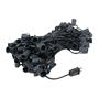 Picture of 100 G50 Globe Light String Set with Clear Bulbs on Black Wire