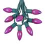 Picture of C9 25 Light String Set with Ceramic Purple Bulbs on Green Wire