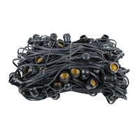 Picture for category Bulk 330' Comercial Grade String Lights