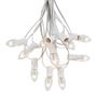 Picture of C7 25 Light String Set with Clear Twinkle Bulbs on White Wire