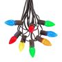 Picture of 25 Light String Set with Multi Colored LED C7 Bulbs on Brown Wire