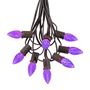 Picture of 25 Light String Set with Purple LED C7 Bulbs on Brown Wire