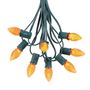 Picture of 25 Light String Set with Amber/Orange LED C7 Bulbs on Green Wire