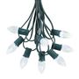 Picture of 25 Light String Set with Pure White LED C7 Bulbs on Green Wire