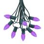 Picture of 25 Light String Set with Purple LED C7 Bulbs on Green Wire