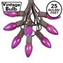 Picture of C9 25 Light String Set with Ceramic Purple Bulbs on Brown Wire