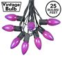 Picture of C9 25 Light String Set with Ceramic Purple Bulbs on Black Wire