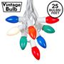 Picture of C9 25 Light String Set with Ceramic Assorted Bulbs on White Wire