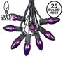 Picture of C9 25 Light String Set with Purple Bulbs on Black Wire