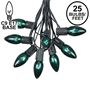 Picture of 25 Twinkling C9 Christmas Light Set - Green - Black Wire