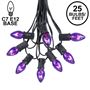 Picture of 25 Light String Set with Purple Transparent C7 Bulbs on Black Wire