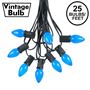 Picture of 25 Light String Set with Blue Ceramic C7 Bulbs on Black Wire