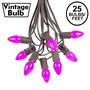 Picture of 25 Light String Set with Purple Ceramic C7 Bulbs on Brown Wire