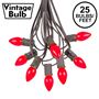 Picture of 25 Light String Set with Red Ceramic C7 Bulbs on Brown Wire