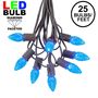 Picture of 25 Light String Set with Blue LED C7 Bulbs on Brown Wire