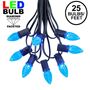 Picture of 25 Light String Set with Blue LED C7 Bulbs on Black Wire