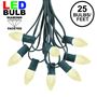 Picture of 25 Light String Set with Warm White LED C7 Bulbs on Green Wire