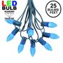 Picture of 25 Light String Set with Blue LED C7 Bulbs on Green Wire