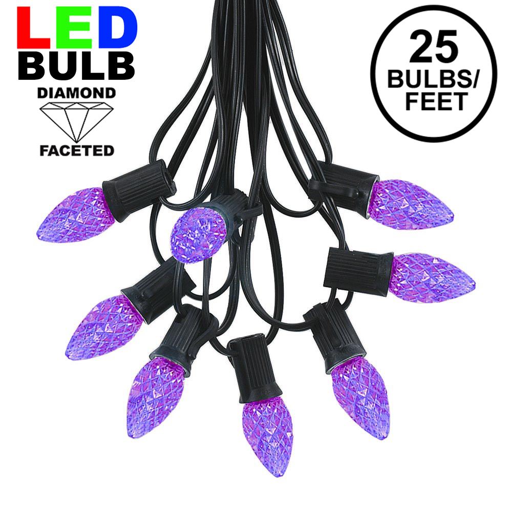 Picture of 25 Light String Set with Purple LED C7 Bulbs on Black Wire