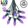 Picture of 25 Light String Set with Purple LED C7 Bulbs on Green Wire