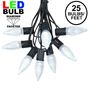 Picture of 25 Light String Set with Pure White LED C9 Bulbs on Black Wire