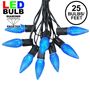 Picture of 25 Light String Set with Blue LED C9 Bulbs on Black Wire