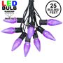 Picture of 25 Light String Set with Purple LED C9 Bulbs on Black Wire