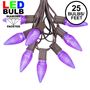 Picture of 25 Light String Set with Purple LED C9 Bulbs on Brown Wire