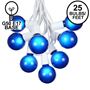 Picture of 25 G50 Globe Light String Set with Blue Bulbs on White Wire