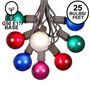 Picture of 25 G50 Globe Light String Set with Assorted Bulbs on Brown Wire
