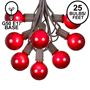 Picture of 25 G50 Globe Light String Set with Red Bulbs on Brown Wire
