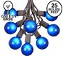 Picture of 25 G50 Globe Light String Set with Blue Bulbs on Brown Wire