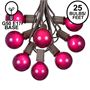 Picture of 25 G50 Globe Light String Set with Purple Bulbs on Brown Wire