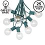 Picture of 25 G40 Globe String Light Set with Clear Bulbs on Green Wire